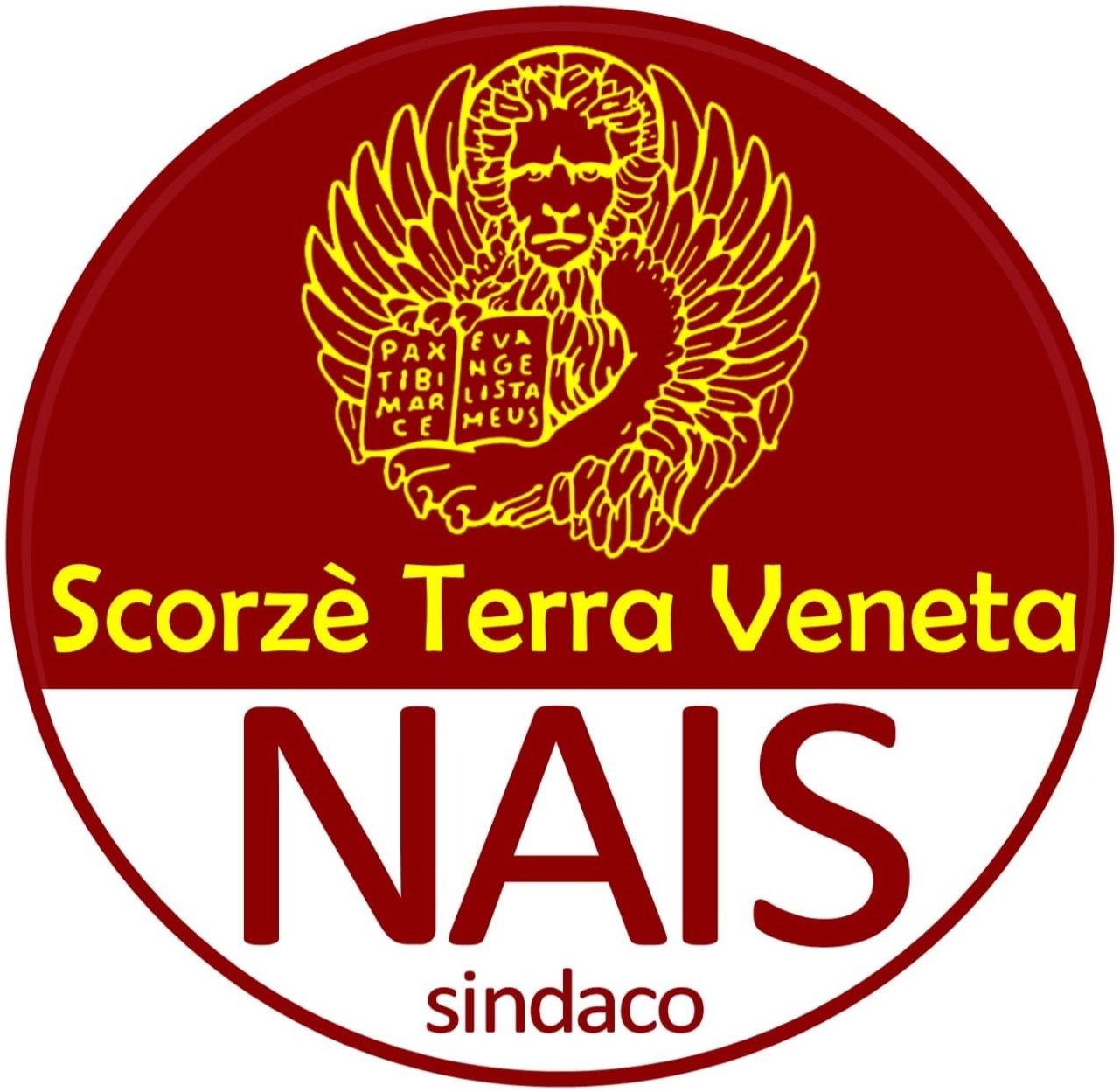 Terra Veneta per Nais Sindaco